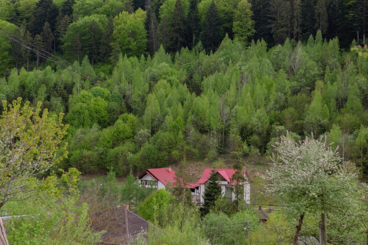 Villa Kamyanka Jaremče Esterno foto